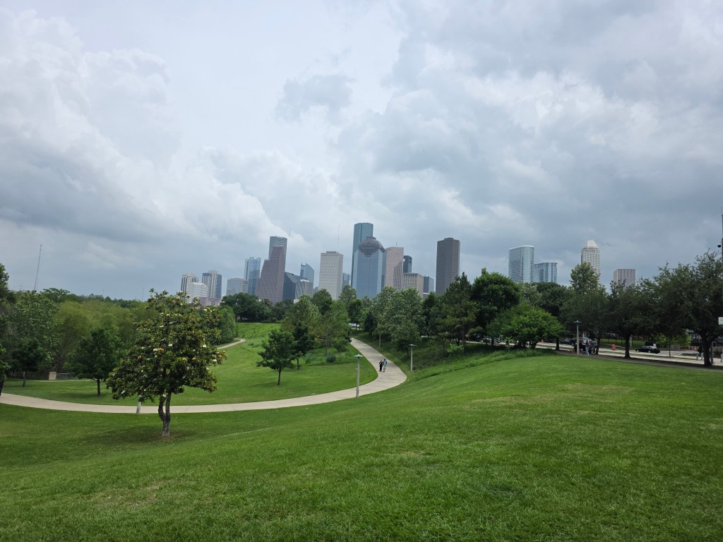 American Airlines First Class Review: Houston Day Trip, Meal Mix-Up and Travel&nbsp;Lessons